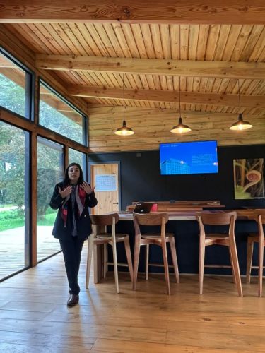 55b207de-d2ff-443f-87d9-677f198a160c